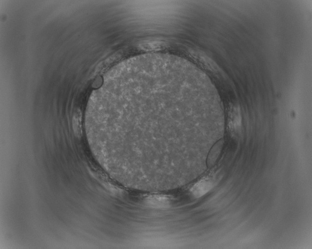 X0000067850332200605111714