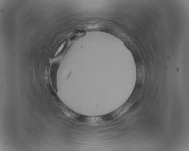 X0000067850333200605111714