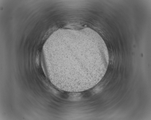 X0000067850334200605111714