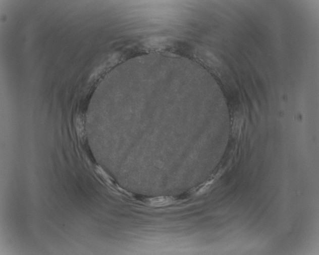 X0000067850335200605111714