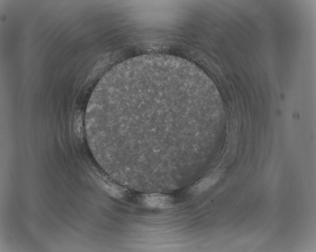 X0000067850336200605111714