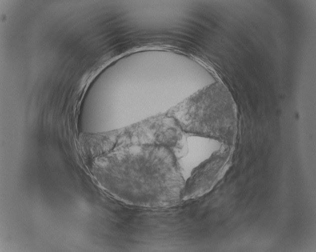 X0000067850337200605111713