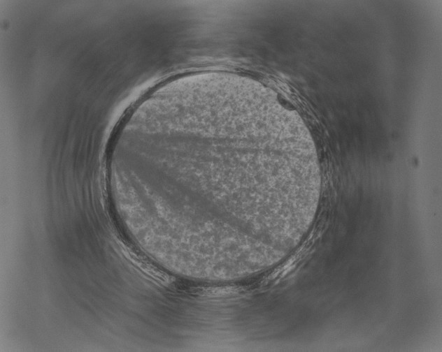 X0000067850342200605111714