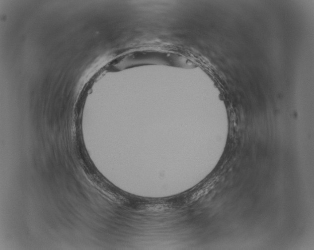 X0000067850344200605111714