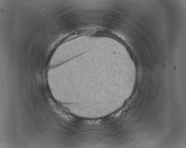 X0000067850345200605111714