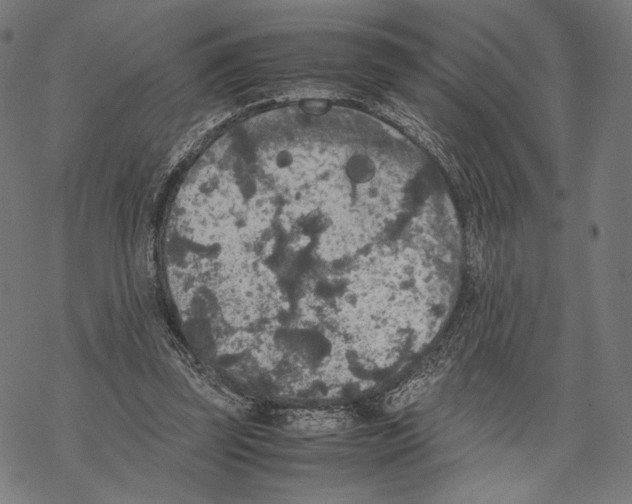 X0000067850347200605111714