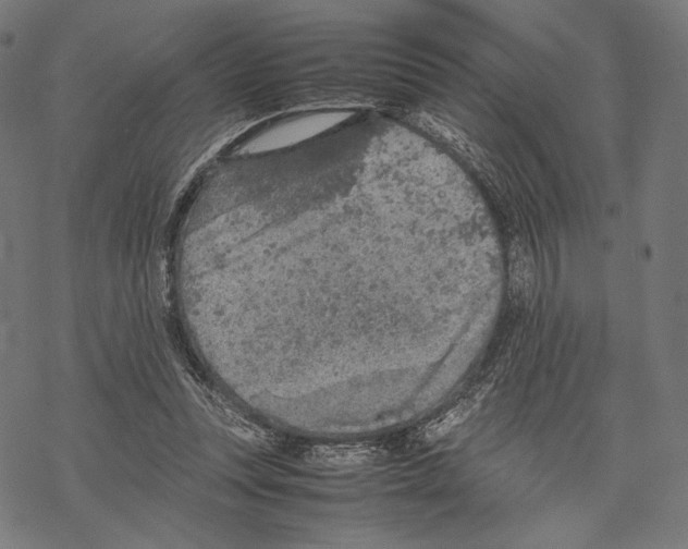 X0000067850351200605111714