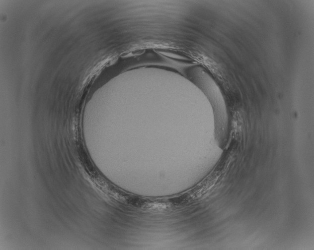 X0000067850352200605111714