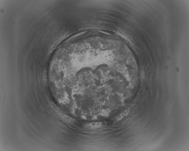 X0000067850353200605111714