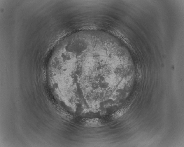 X0000067850355200605111714