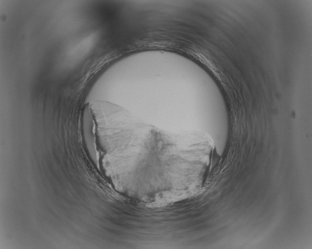 X0000067850357200605111714