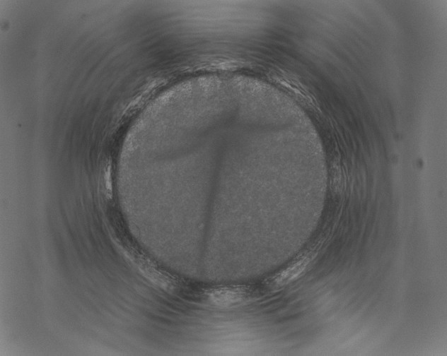 X0000067850358200605111714