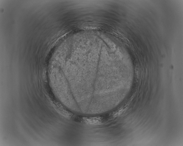 X0000067850359200605111714