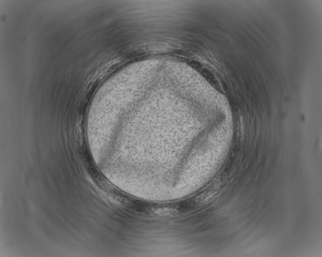 X0000067850360200605111714