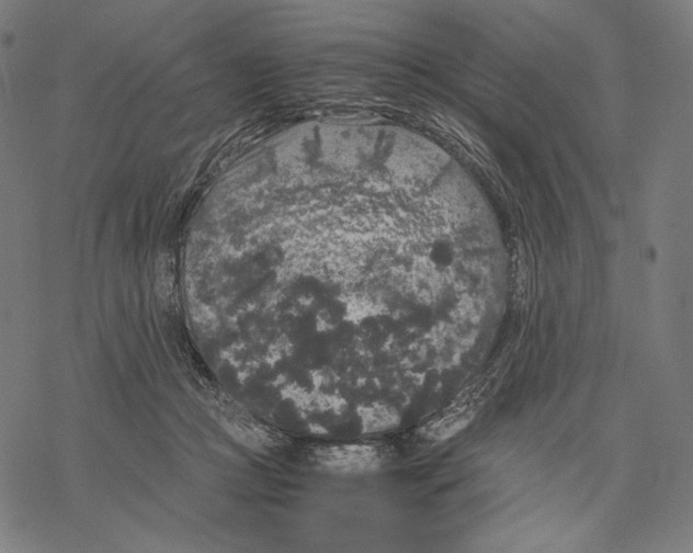 X0000067850361200605111714