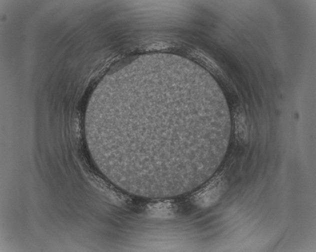 X0000067850362200605111714