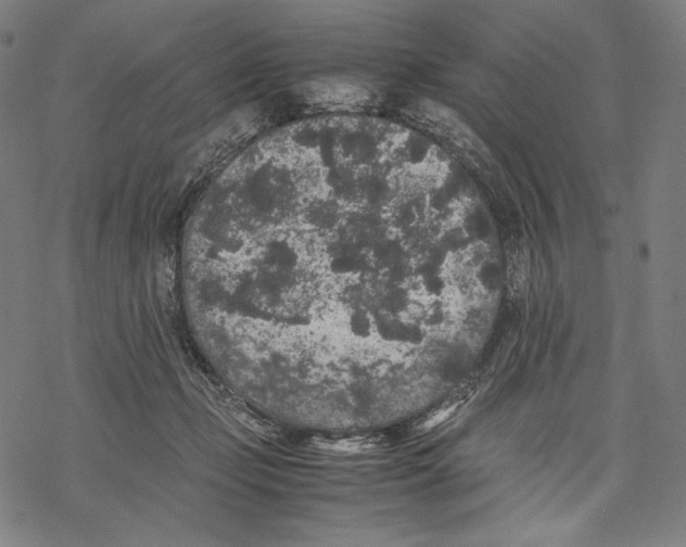 X0000067850365200605111714