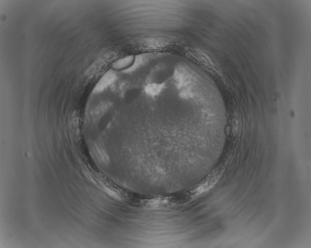 X0000067850366200605111714