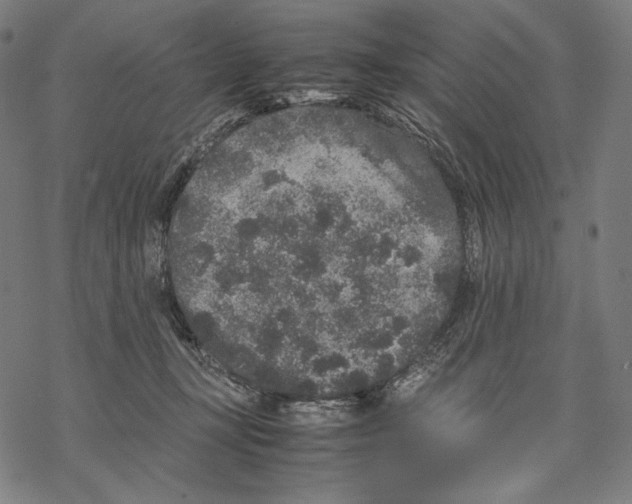 X0000067850367200605111714