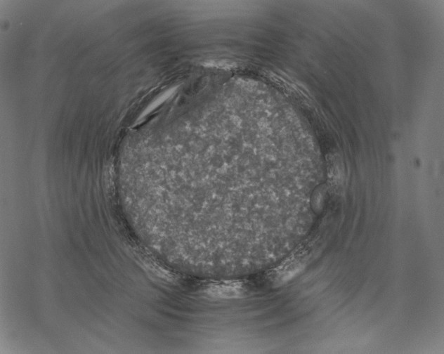 X0000067850369200605111714