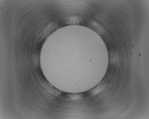 X0000067850370200605111714