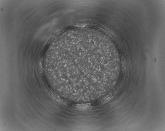 X0000067850373200605111714