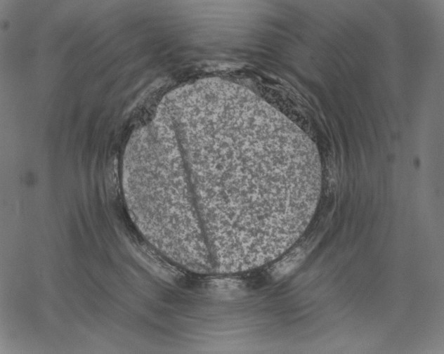 X0000067850376200605111714