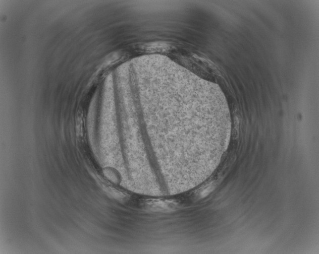 X0000067850379200605111714