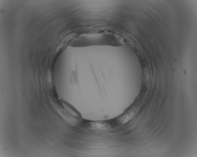 X0000067850380200605111714