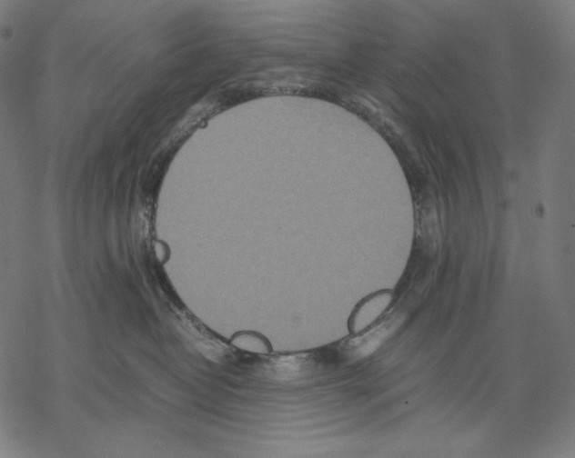 X0000067850382200605111714