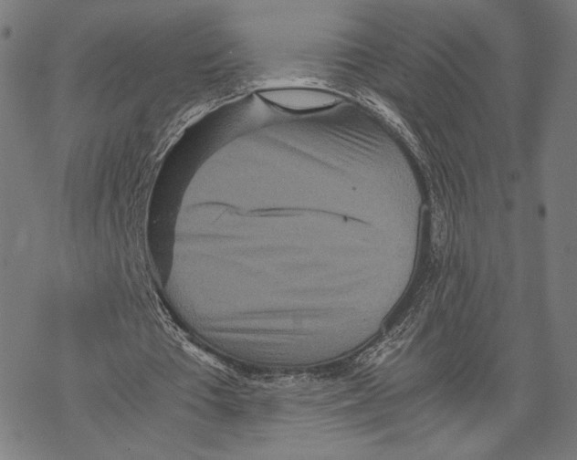 X0000067850385200605111713