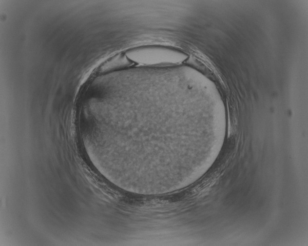 X0000067850387200605111713