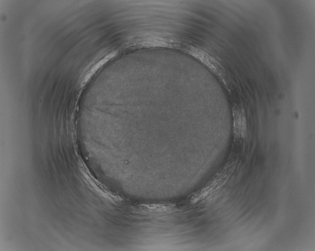 X0000067850390200605111713