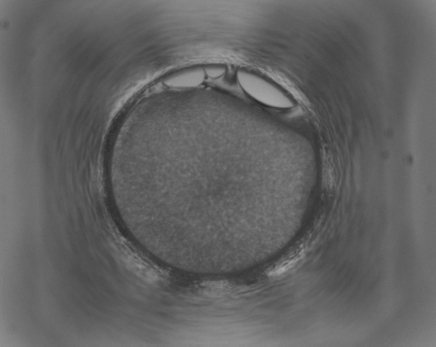 X0000067850391200605111713