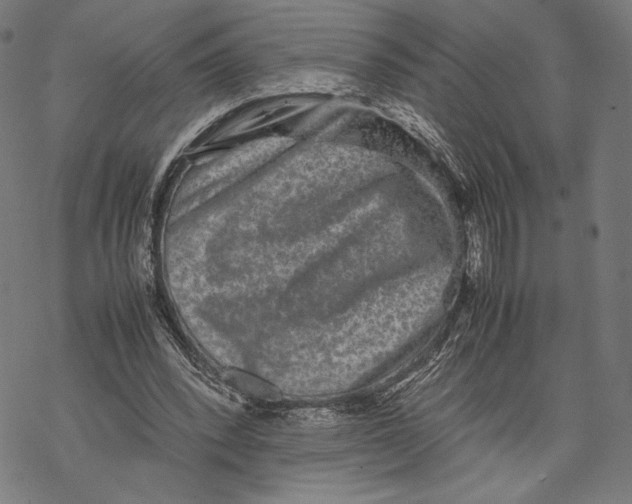 X0000067850392200605111713