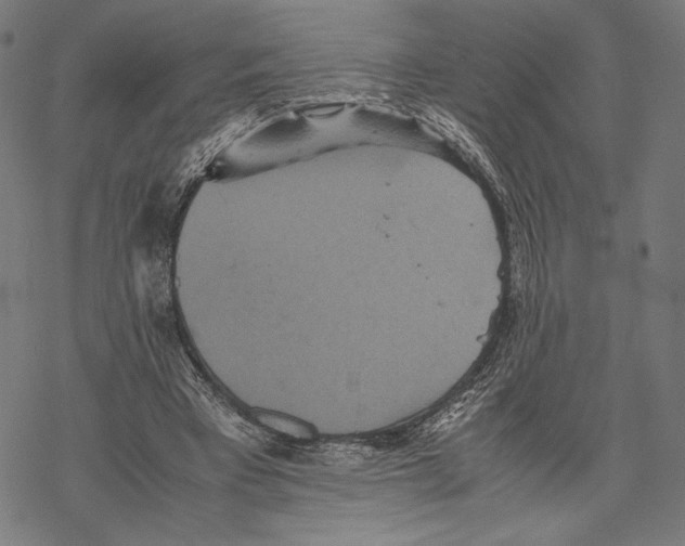 X0000067850393200605111713