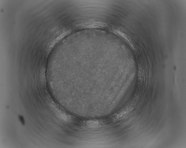 X0000067850394200605111713