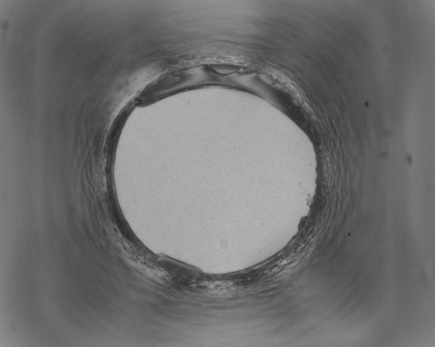 X0000067850395200605111713