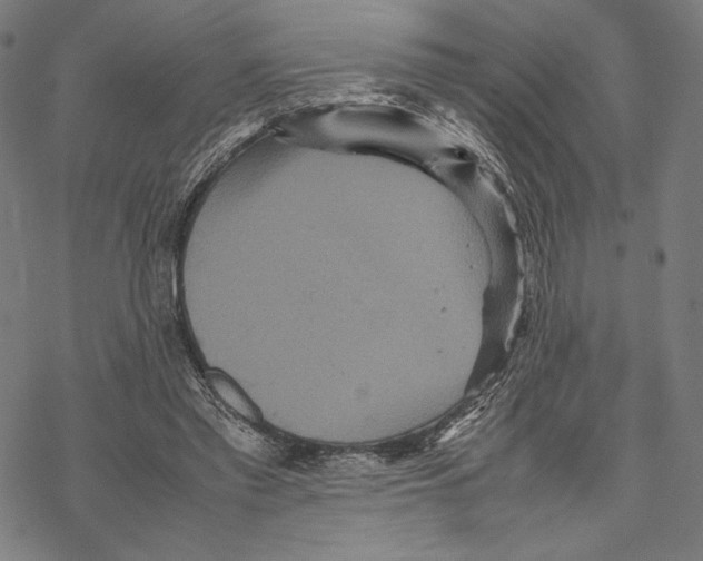 X0000067850397200605111713