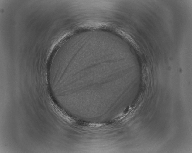 X0000067850399200605111713