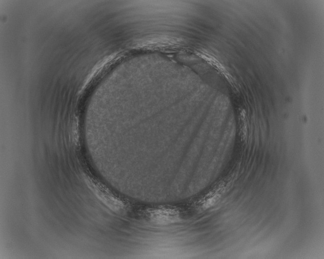 X0000067850400200605111713