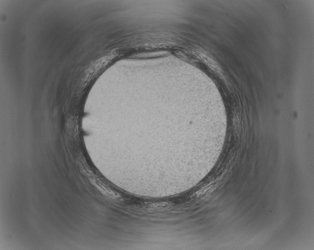 X0000067850401200605111713