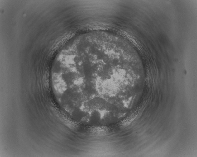 X0000067850402200605111713