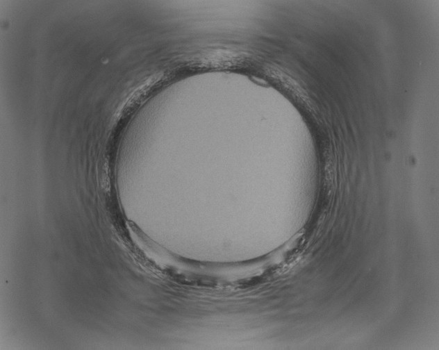 X0000067850403200605111713