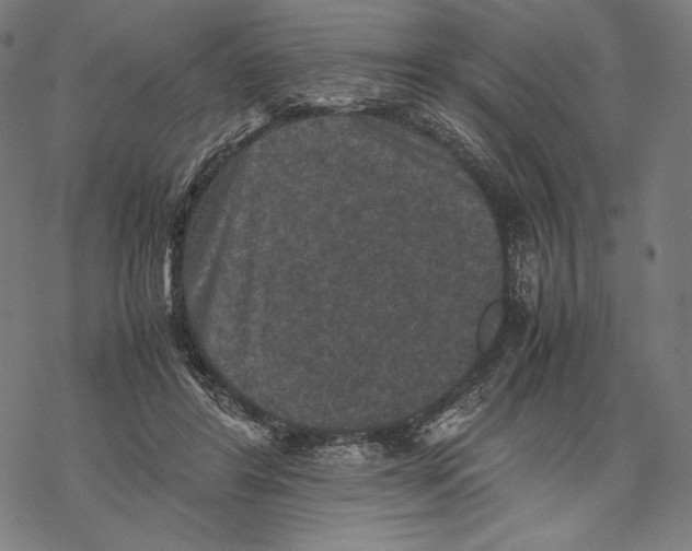 X0000067850404200605111713