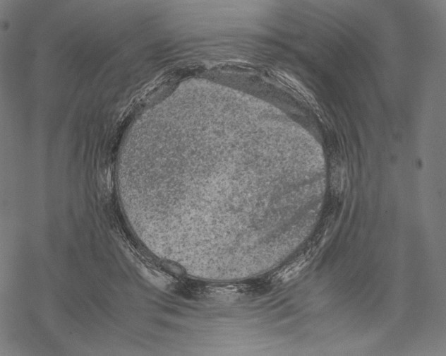 X0000067850405200605111713