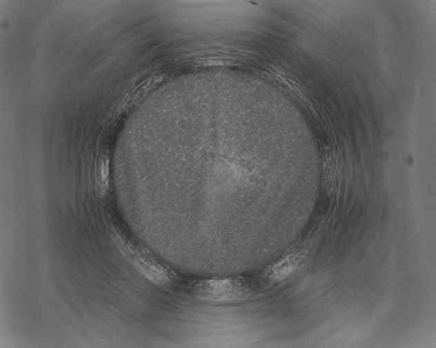 X0000067850406200605111713