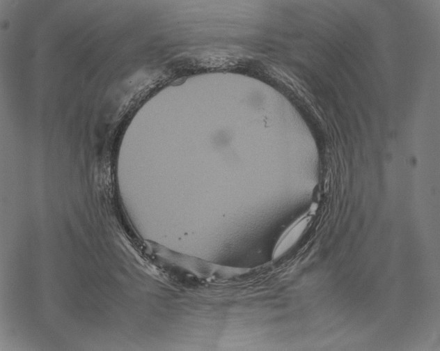 X0000067850407200605111713