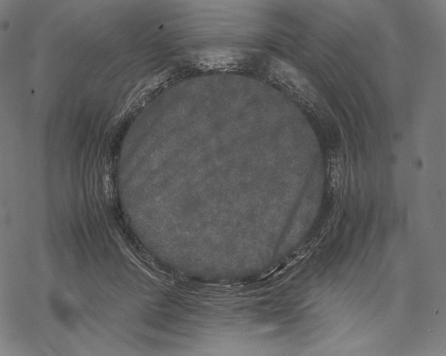 X0000067850408200605111713