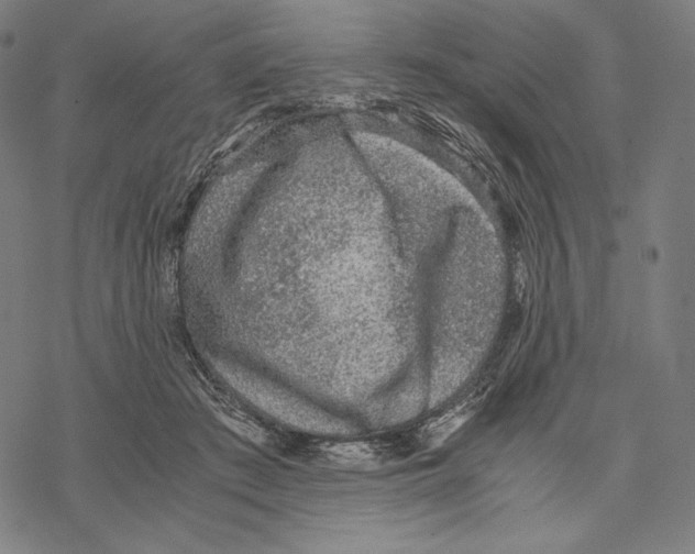 X0000067850409200605111713